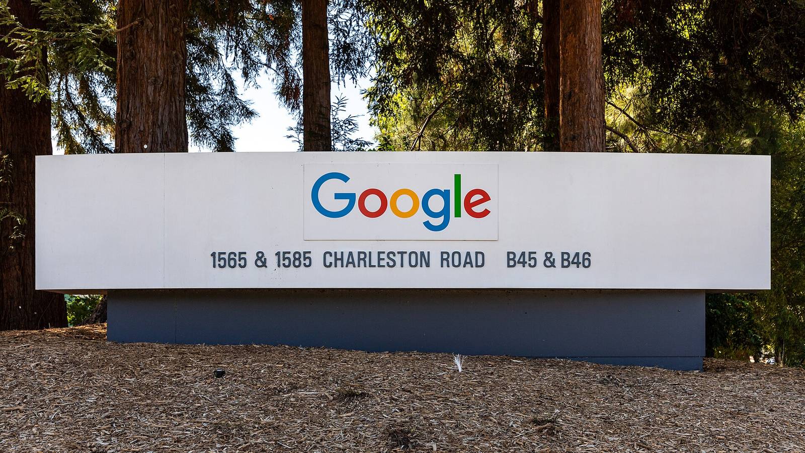 Alphabet Borrows Money Now